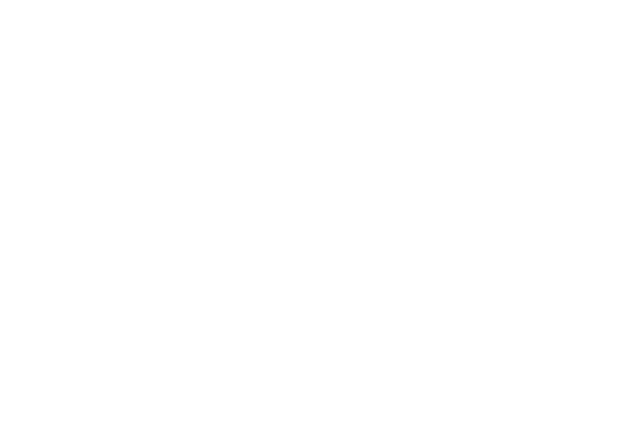 The Washington